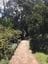 Wollongong Botanic Gardens Public Day Tour Image -5da652da1c401